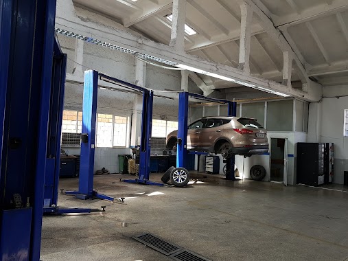 Hyundai Auto Georgia, Author: Zurab Gojiashvili