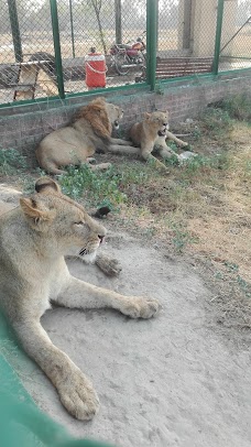 Tiger Cage lahore