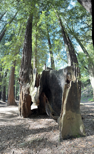 Dolliver Park - Thumbnail