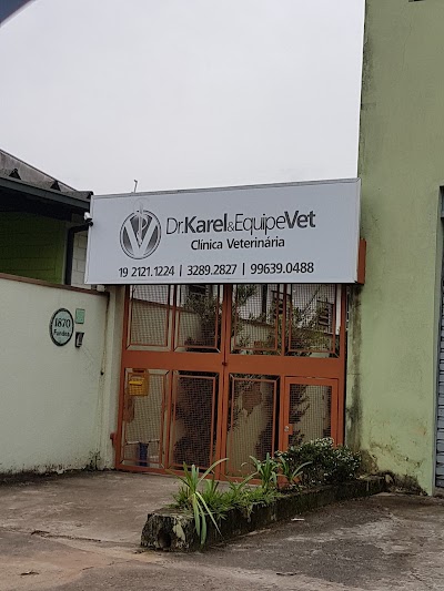 veterinary-care
