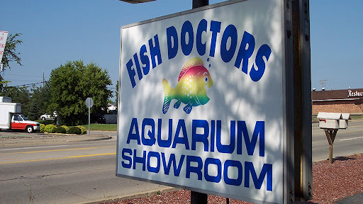 The Fish Doctors - Visual