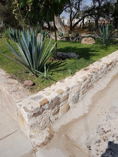 Hernández Jardineros - Thumbnail