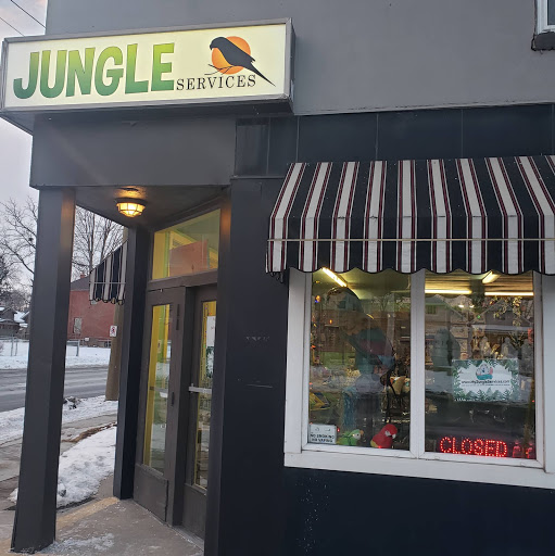 Jungle Services | Parrot Store and Grooming