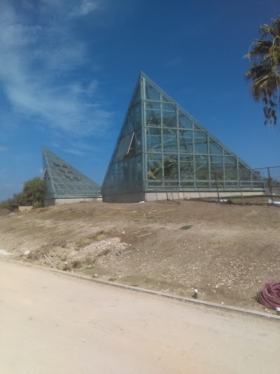 Photos of San Antonio Botanical Garden
