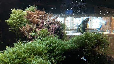 Photos of Aquapalace Praha