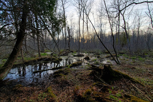 Woodland Dunes State Natural Area Gallery - United States