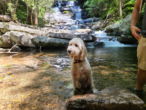 Lower Emery Creek Falls - Thumbnail