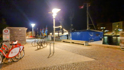 Königs Eis - Thumbnail