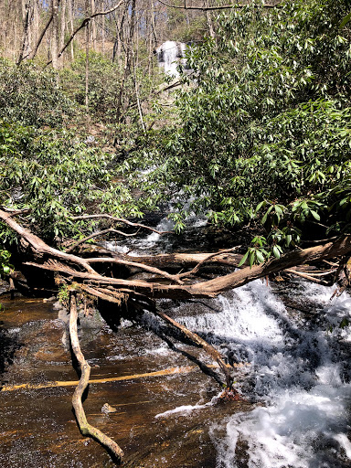 Bearden Falls - Visual