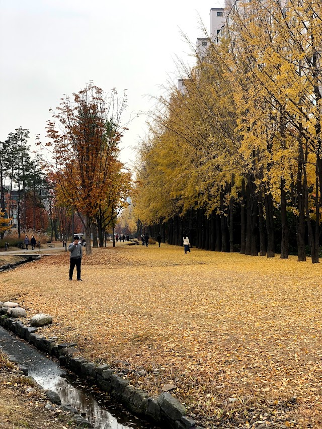 Gyeongui Line Forest Park