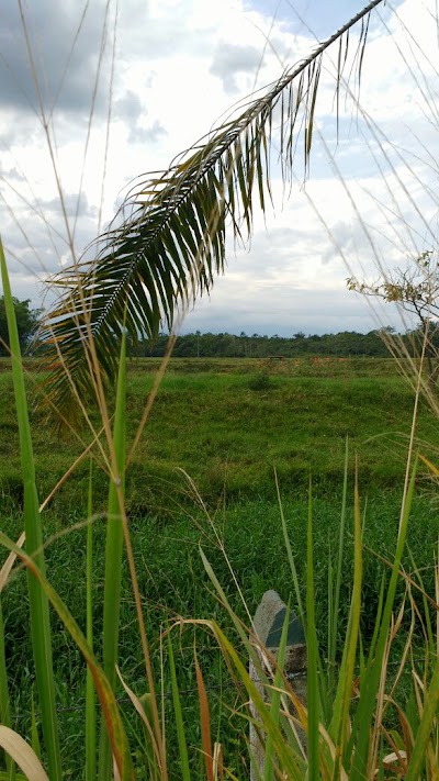 Photos of Parque Cacayal