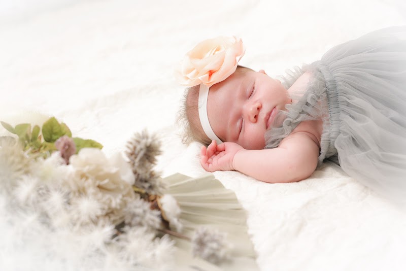 写真館ピノキオ 駒沢大学店