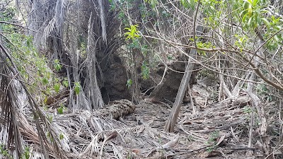 Photos of Den Paradera, Curacao's Herb Garden