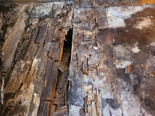 Photo n°12 de BZH QUALITE Traitement de charpente, Traitement mérule, Traitement mur humide, Isolation intérieure, extérieur, Placo Lannion à Lannion (Entrepreneur spécialisé dans l'isolation)