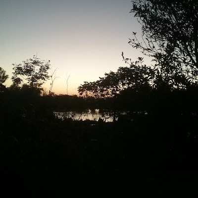 Photos of Parc de Tsarasaotra
