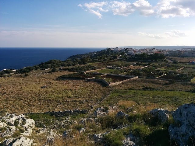 Blubay Club