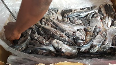 Photos of Economat Ya Sika / Chambre Froide