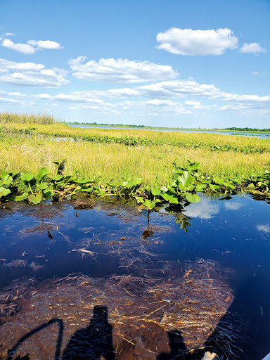 Kissimmee Chain of Lakes Area Wildlife Management Area - Drasdo - Thumbnail