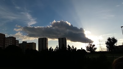 Photos of Kivila Park