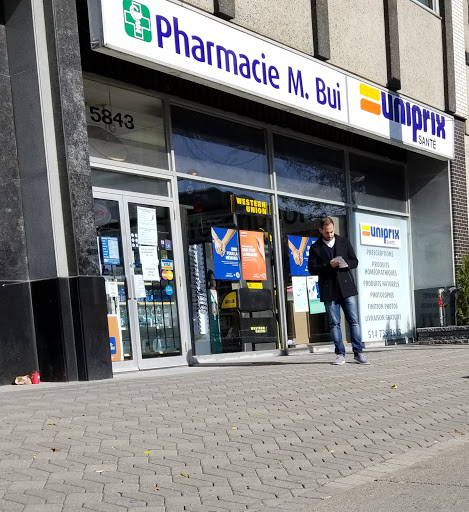 Bui Pharmacy - Visual