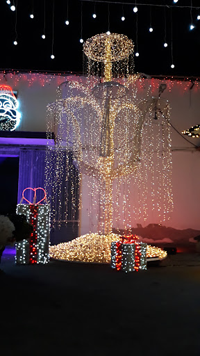 Nautilus Music Lights Christmas & Garden