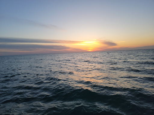 Suncoast Sailing - Visual