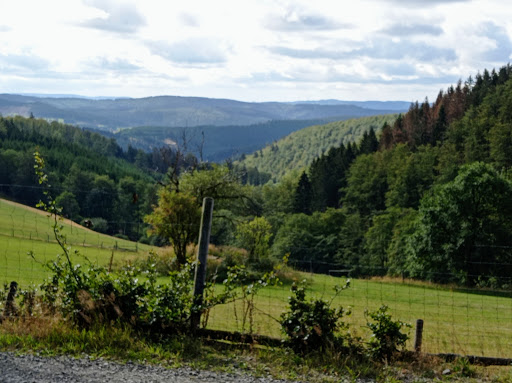Rothaarkamm am Grenzweg Gallery - Germany