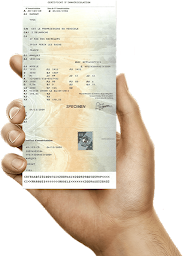 Photo n°4 de Garage Du Noyer à Bischwiller (Atelier de mécanique automobile)