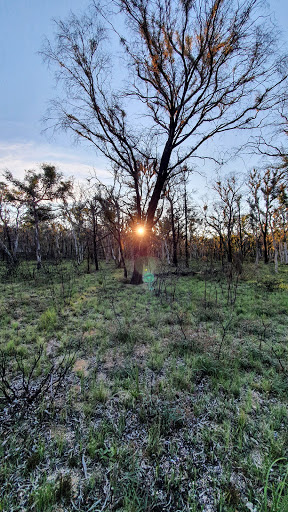 Barcoo Swamp Campground - Thumbnail