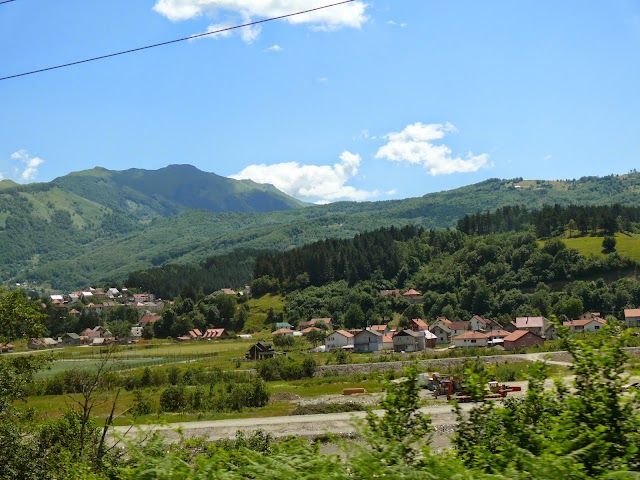 Tivat