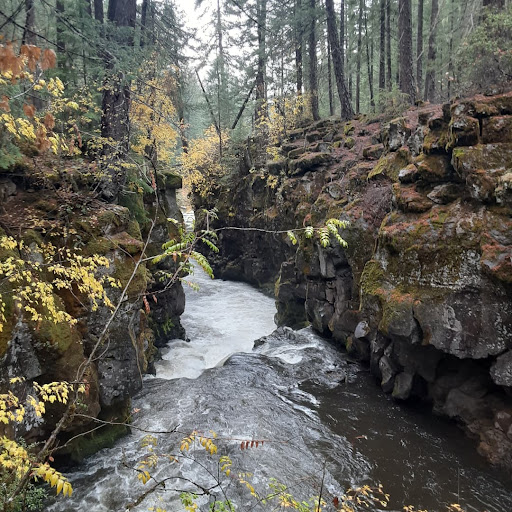 Rogue River Gorge Falls