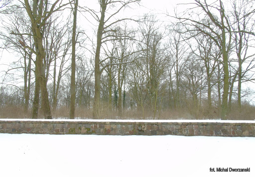 Park Pargowski Gallery - Germany