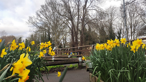 March Library - Visual