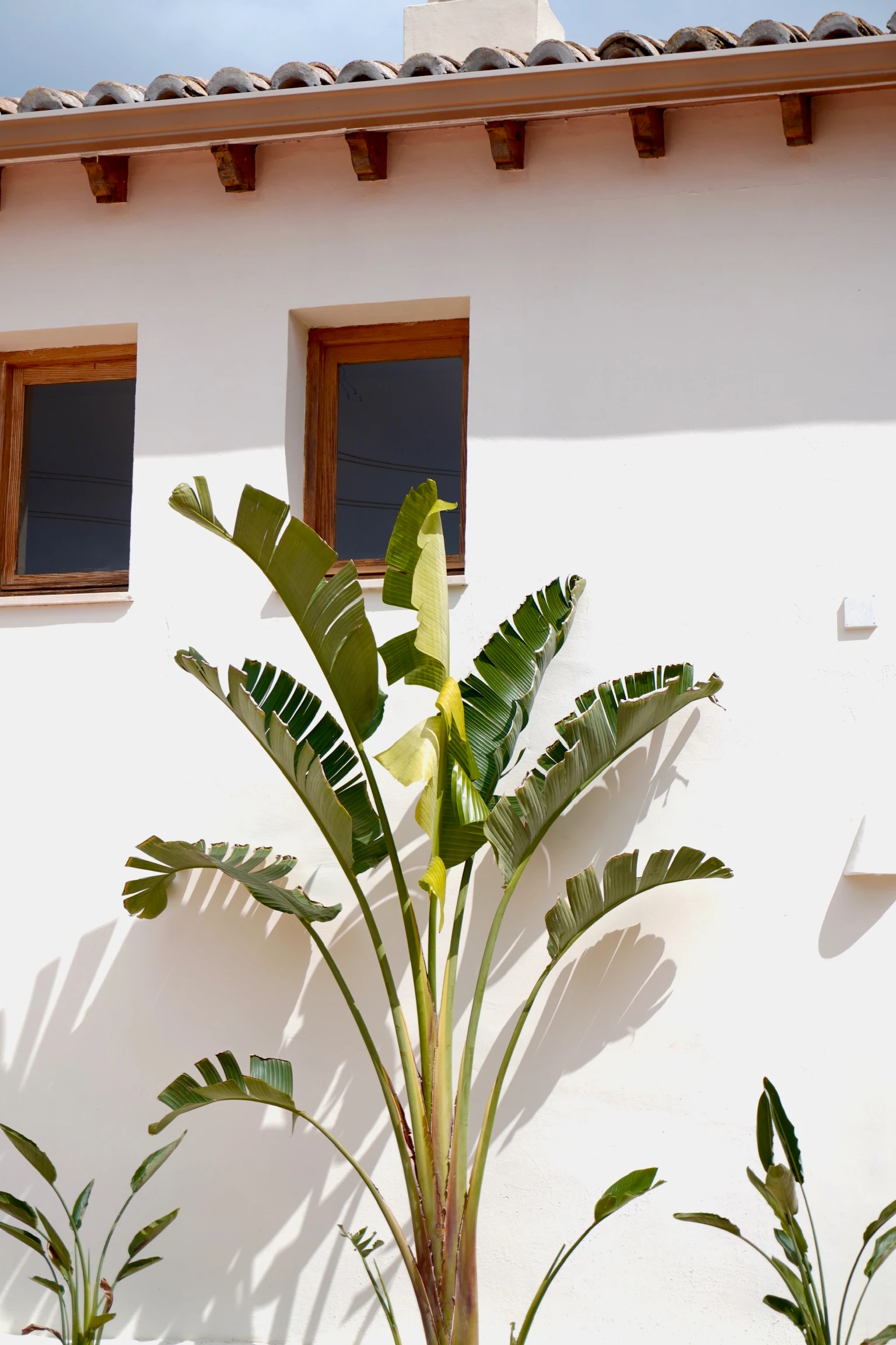 Finca Olivar country boutique hotel