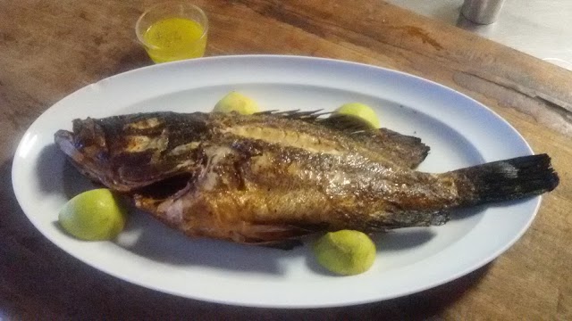 Papalagi seafood