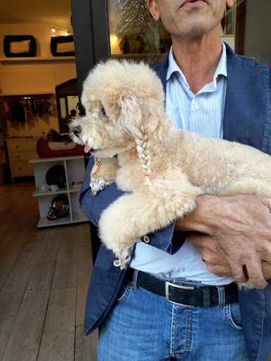 CuccioShop - Visual