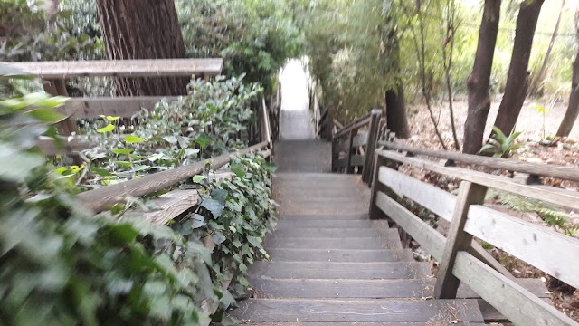Greenwich Steps