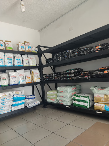 Animal Care Hospital Veterinario