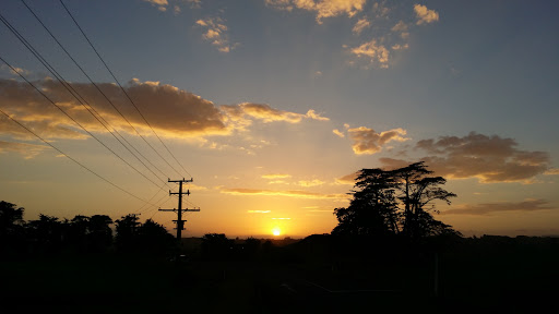 Norfolk Motel & Campervan Park Gallery - New Zealand