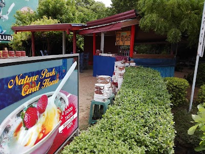 Photos of Shan Curd