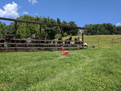 Schooner Valley Stables