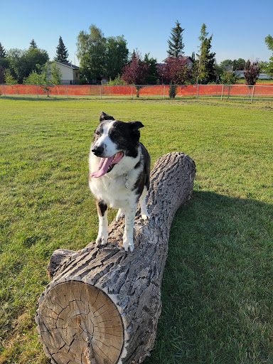 Nose Creek Off-Leash Park Gallery - Canada