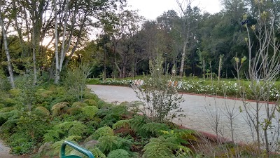 Photos of Cuarto Centenario Park
