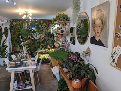 Urban Plant Shop