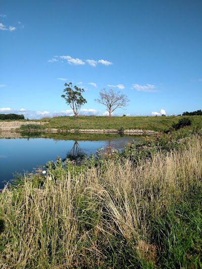 Lost Grove Lake