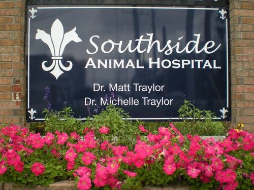 Southside Animal Hospital: Dr. Michelle Traylor - Thumbnail