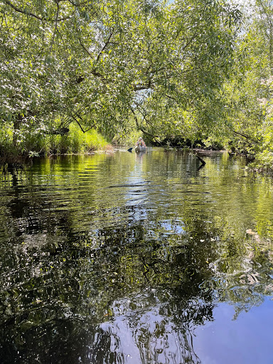 Wetlandi Canoe Center Gallery - Sweden