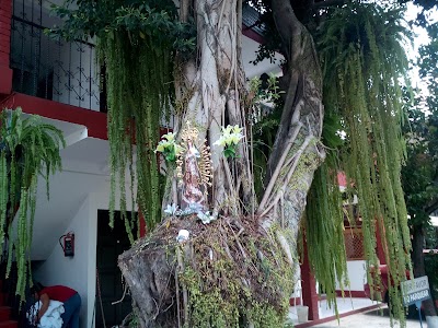Photos of Hotel La Estancia