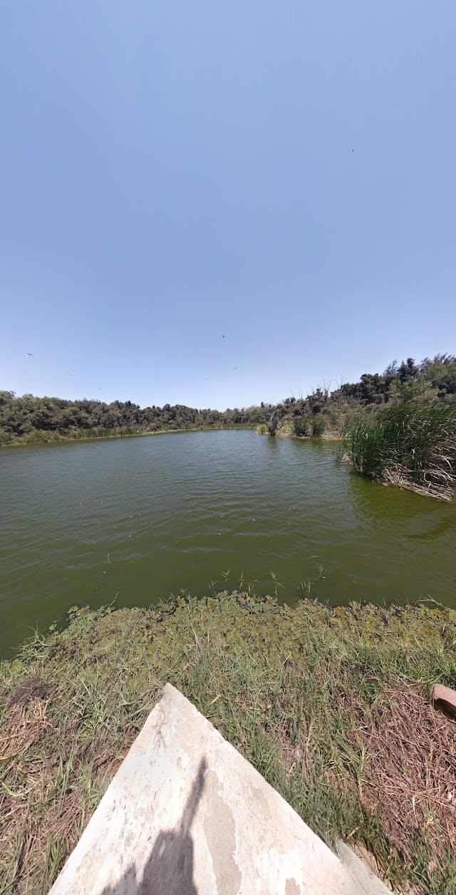 Le Pelican Restaurant