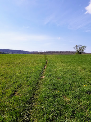 Susquehanna Siding, LLC - Thumbnail